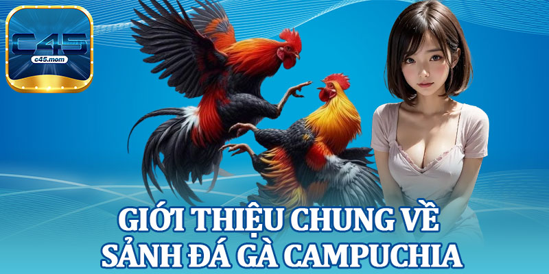 Giới Thiệu Chung Về Sảnh Đá Gà Campuchia