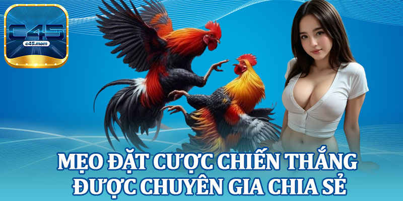 Mẹo Đặt Cược Chiến Thắng Được Chuyên Gia Chia Sẻ