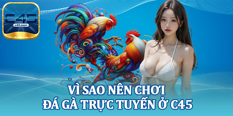 Vì Sao Nên Chơi Đá Gà Trực Tuyến Ở C45