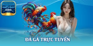 Đá Gà Trực Tuyến