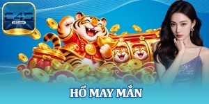 Hổ May Mắn